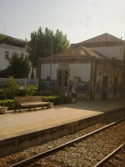 photo CIMG9132_zps441e8beb.jpg