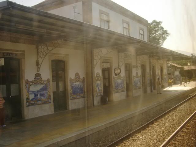 photo CIMG9133_zps1932c3ef.jpg