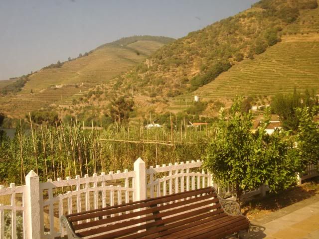 photo CIMG9135_zps33a203fe.jpg