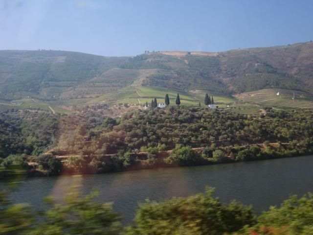 photo CIMG9142_zps89bbfe4f.jpg