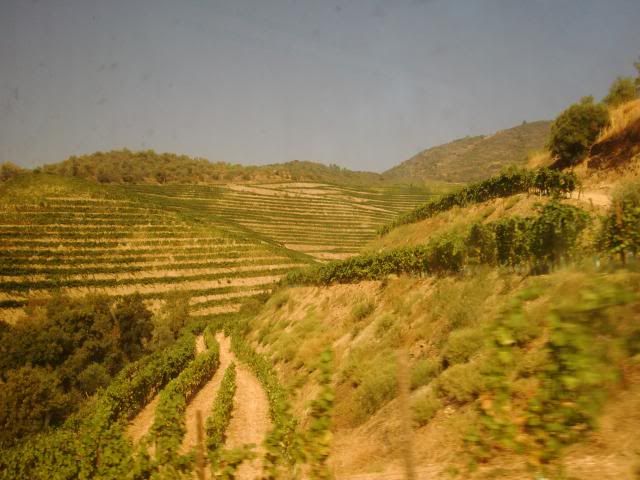 photo CIMG9143_zps204c0428.jpg