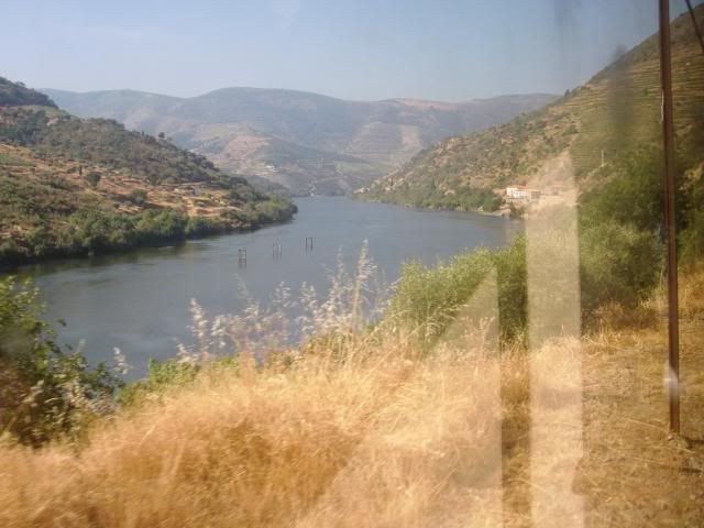 photo CIMG9144_zps8c21df50.jpg