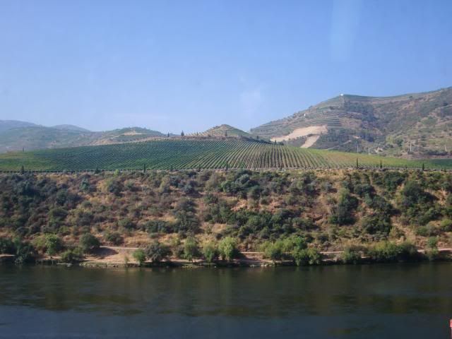 photo CIMG9145_zpsfe764f97.jpg