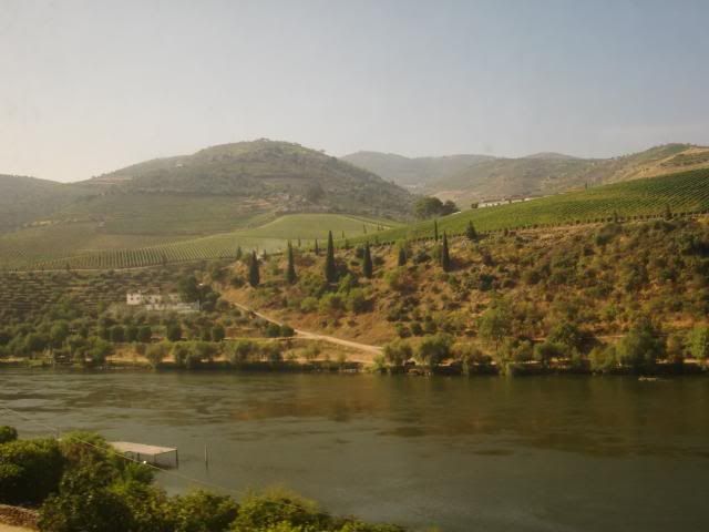 photo CIMG9146_zps01b6bcab.jpg