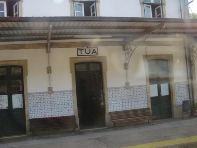 photo CIMG9150_zps03c73efc.jpg