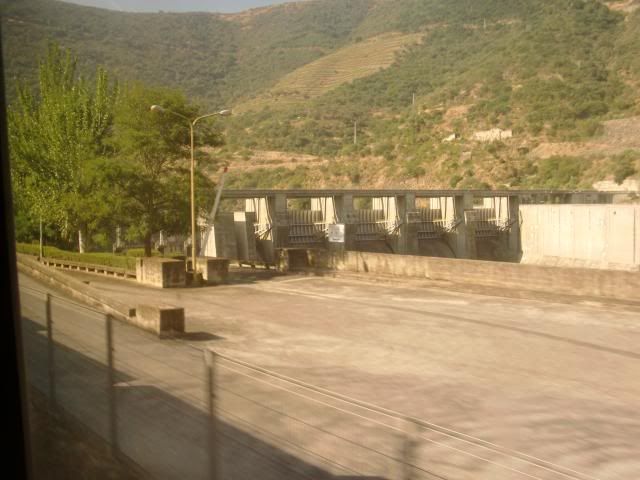 photo CIMG9155_zps854a63fd.jpg