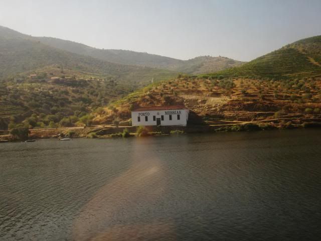 photo CIMG9161_zps2972250c.jpg