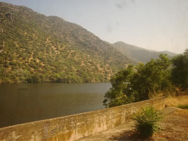 photo CIMG9162_zpscfd350e0.jpg