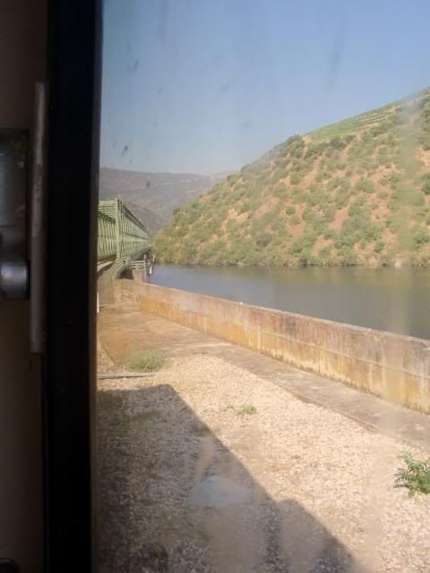 photo CIMG9163_zps08048caa.jpg