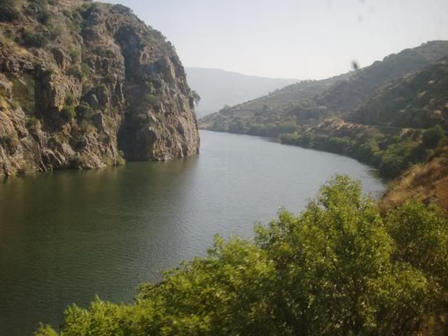 photo CIMG9169_zpseba76c97.jpg