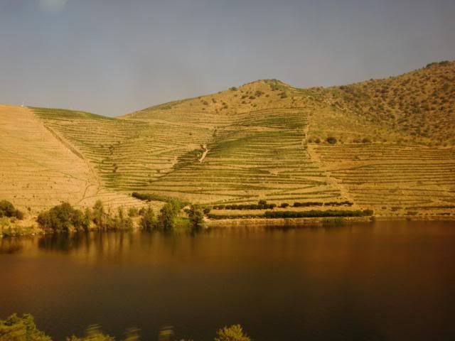 photo CIMG9171_zpsfdea6751.jpg