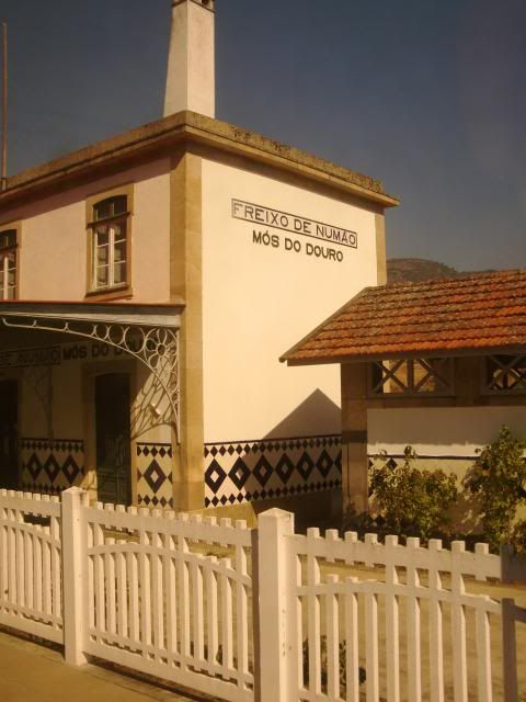 photo CIMG9177_zpsd6a02990.jpg