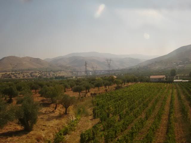 photo CIMG9180_zps527cad4e.jpg