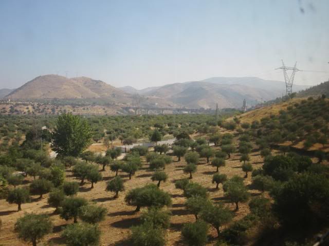 photo CIMG9181_zpse0953f56.jpg