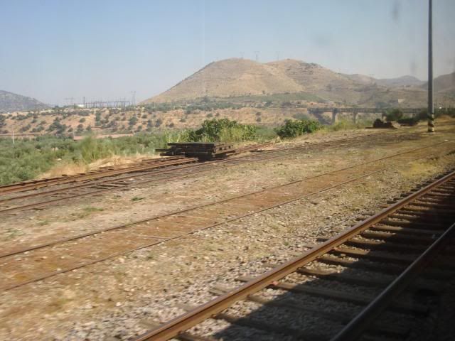 photo CIMG9182_zps1c46904c.jpg