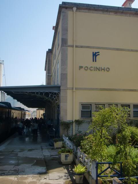 photo CIMG9185_zps4b82a099.jpg