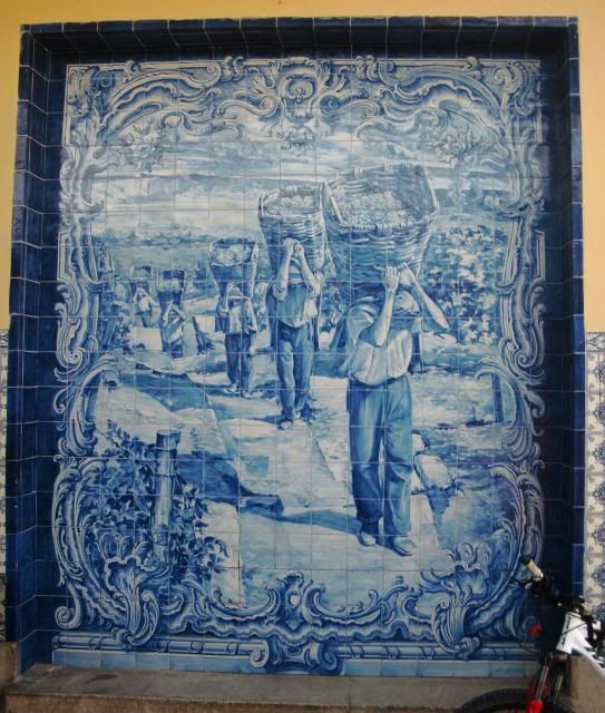 photo CIMG9189_zps6d01e372.jpg