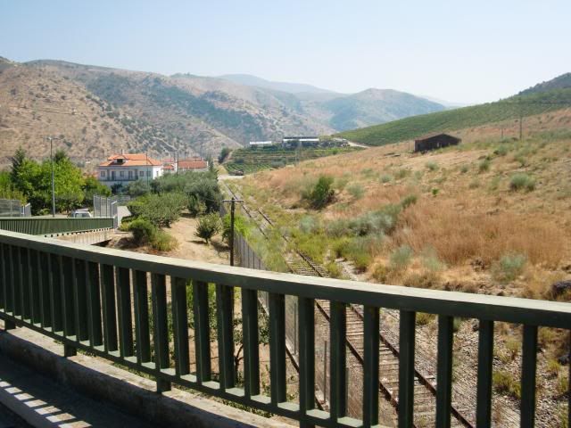 photo CIMG9196_zps3844c836.jpg