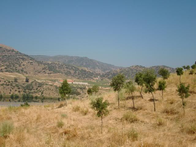 photo CIMG9207_zps0eab3fa5.jpg