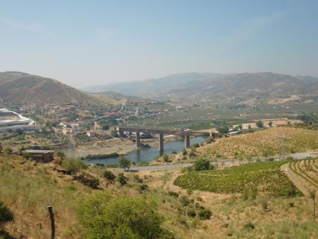 photo CIMG9209_zps349a7786.jpg