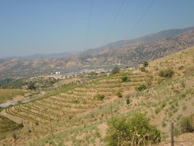 photo CIMG9210_zpsed9a3eee.jpg