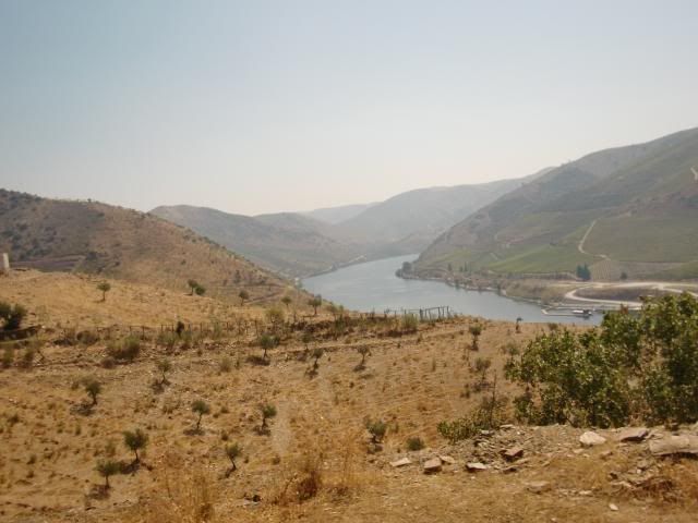 photo CIMG9211_zps67b7422c.jpg