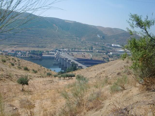 photo CIMG9213_zps909e6b20.jpg