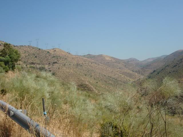 photo CIMG9214_zpsbab8bdda.jpg