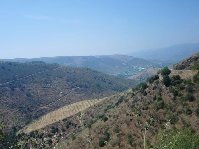 photo CIMG9215_zps8724dae0.jpg