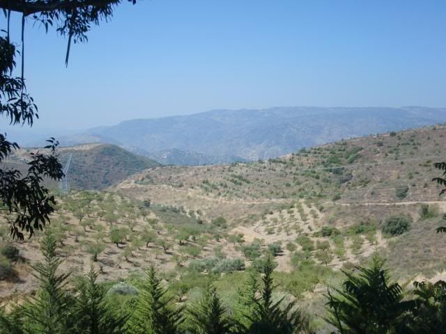 photo CIMG9216_zpsd2ddf321.jpg