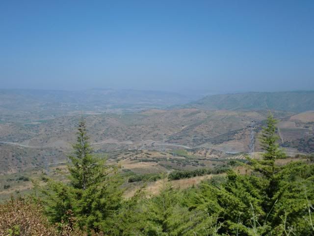 photo CIMG9219_zps425573dc.jpg