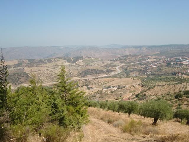 photo CIMG9222_zpsfa8962cf.jpg