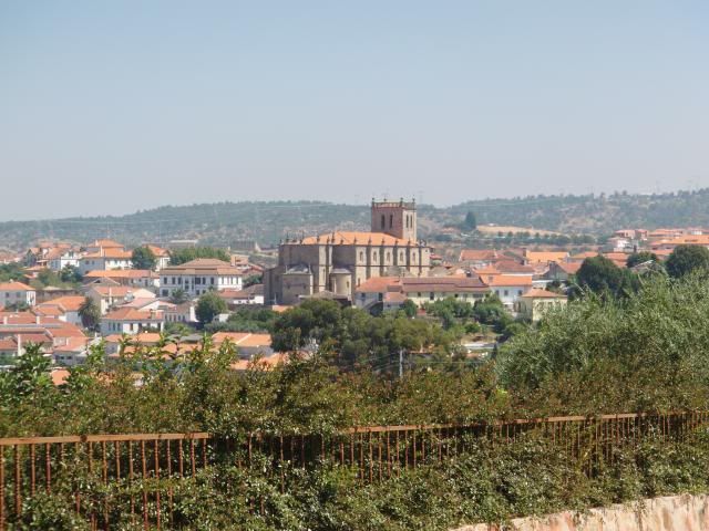 photo CIMG9225_zps0fb0fb80.jpg