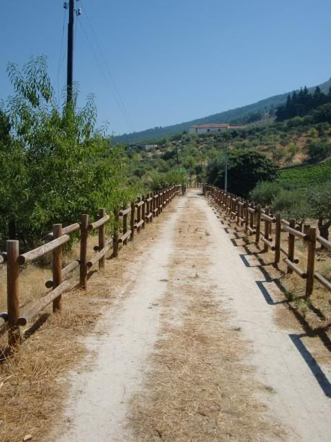 photo CIMG9228_zps263eface.jpg