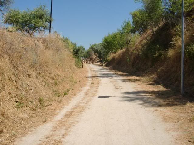 photo CIMG9230_zps30738a08.jpg