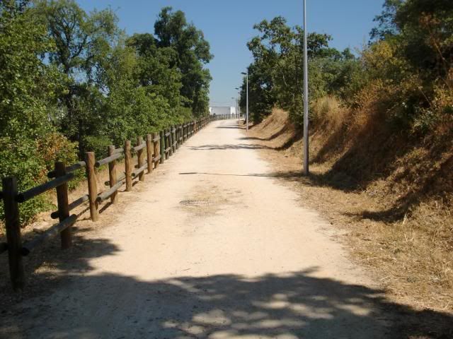 photo CIMG9244_zpsb3670bd3.jpg