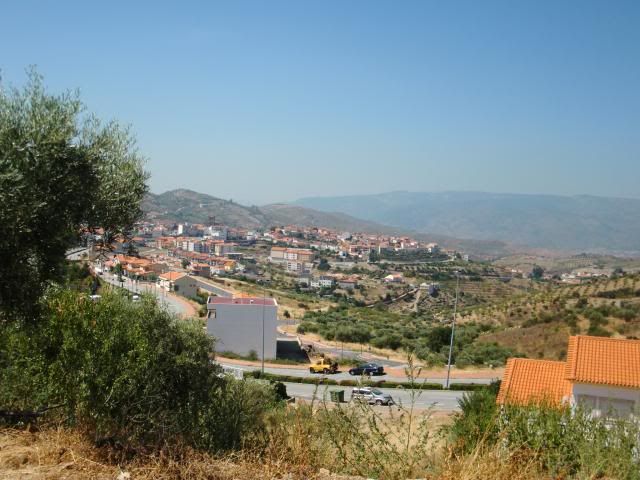 photo CIMG9246_zps9a91ff9b.jpg