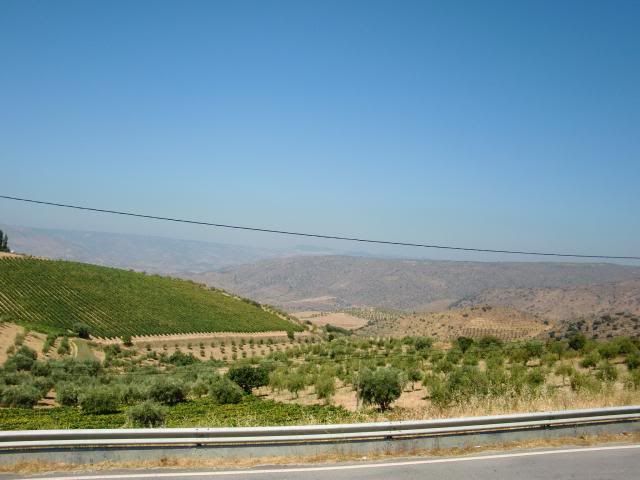 photo CIMG9248_zpsceeaa8ed.jpg