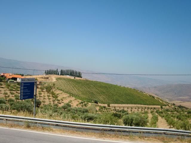 photo CIMG9249_zps13c04fc7.jpg