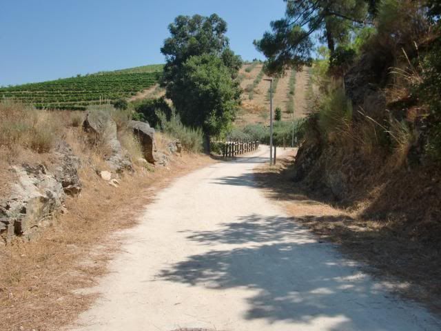 photo CIMG9250_zps1b706aeb.jpg