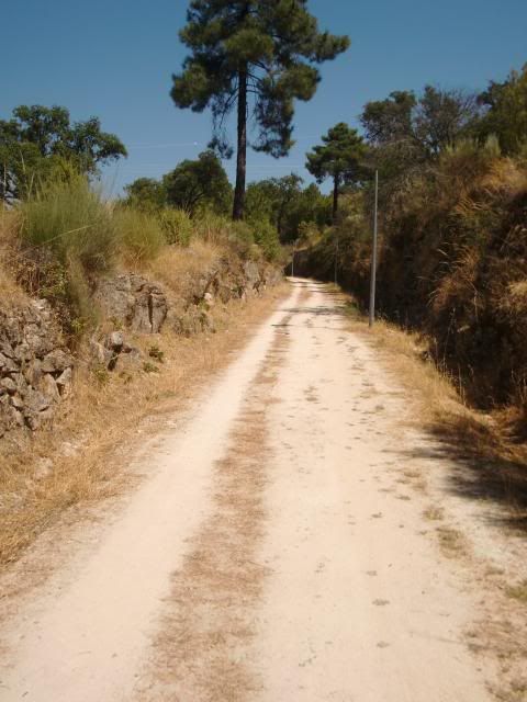 photo CIMG9253_zps676010e0.jpg