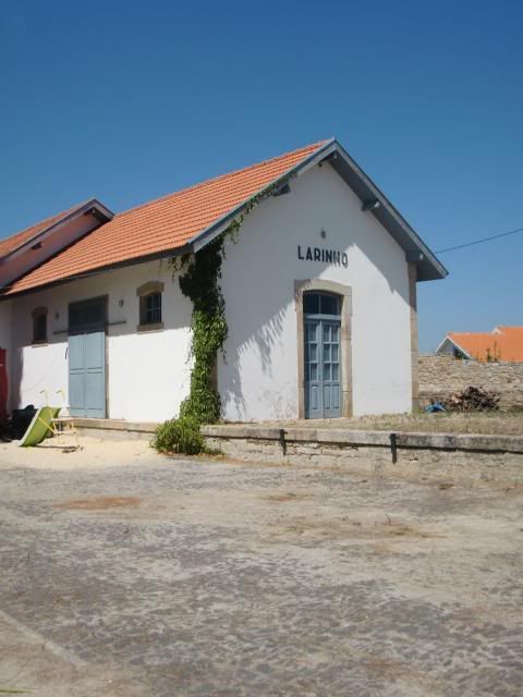 photo CIMG9262_zpsd4bc53c5.jpg