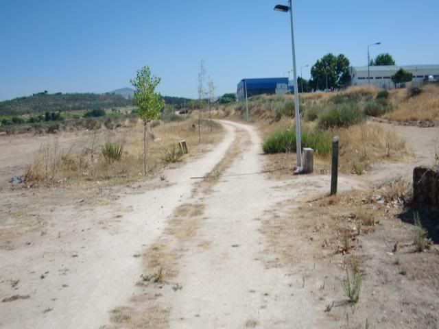 photo CIMG9263_zps7428bf5d.jpg