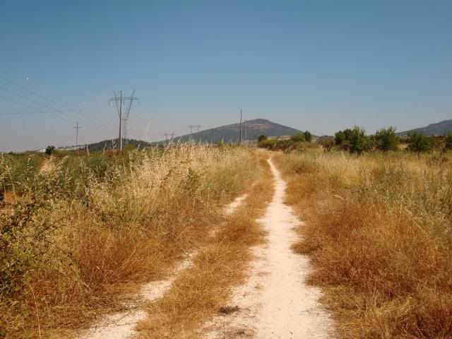 photo CIMG9265_zps21041c00.jpg