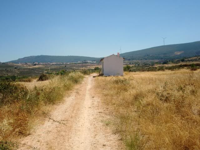 photo CIMG9266_zpsd06fd063.jpg