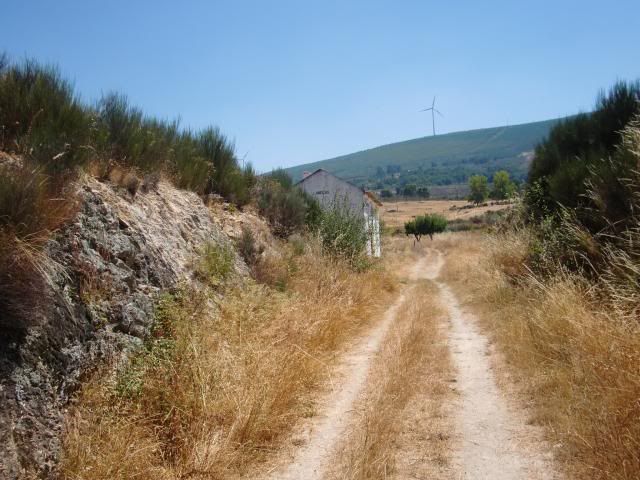 photo CIMG9270_zpscb6de8e1.jpg