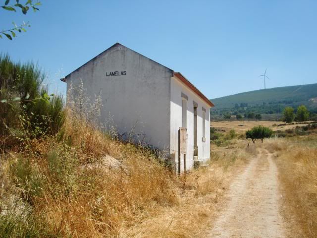 photo CIMG9271_zps1eebaeda.jpg