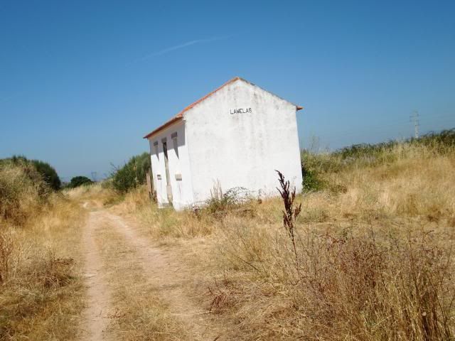 photo CIMG9272_zpsa89c08f3.jpg