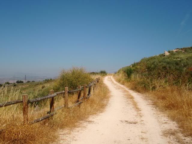 photo CIMG9273_zps15577bba.jpg