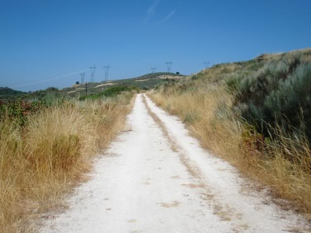 photo CIMG9274_zps63517635.jpg